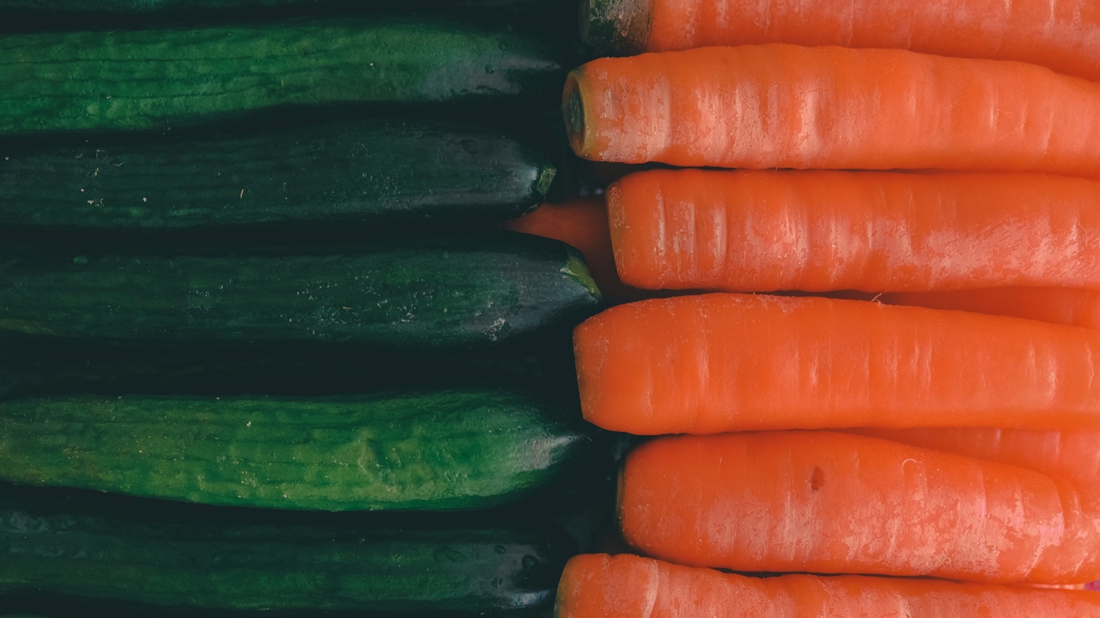 sajad-nori-dslUMN7UPg4-unsplash